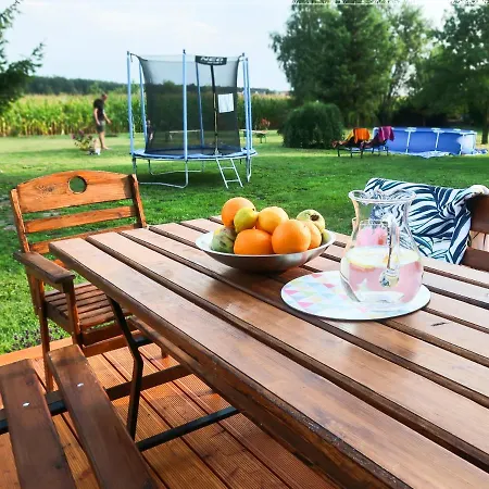 Hébergement de vacances Ginkgo Sulislaw (Ostrow Wielkopolski)