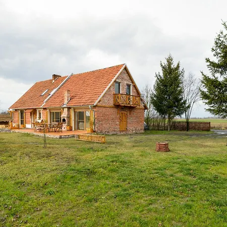 Ginkgo Sulislaw (Ostrow Wielkopolski)