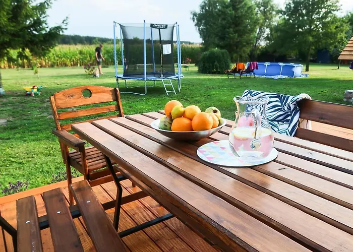 Holiday home Ginkgo Sulislaw (Ostrow Wielkopolski)