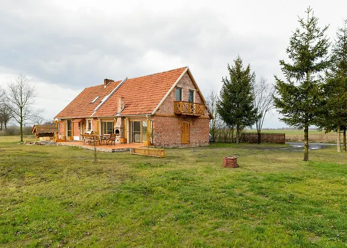 Ginkgo Sulislaw (Ostrow Wielkopolski)